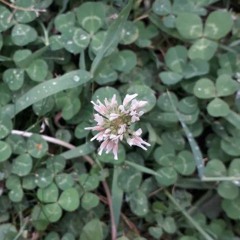 Percibí la tormenta