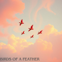 Birds of a Feather