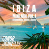 IBIZA MIX 2025 VOL.1 DJ mix artwork - Electronic music tracklist cover image