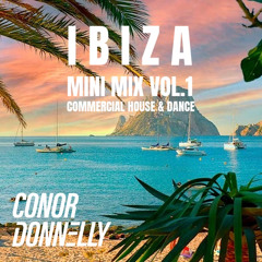 IBIZA MIX 2025 VOL.1