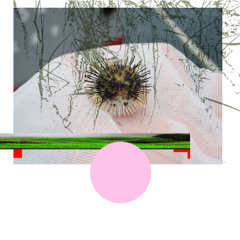 +pin mix+ damping latch