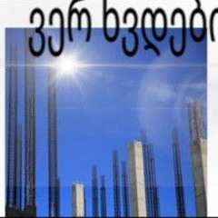 bout me (mynorth+dinosaur)