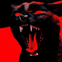 Dialekt-DUBz - WOOK NOISE