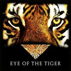 Survivor - Eye Of The Tiger  DJAVICUBAL BOOTLEG