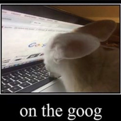 ON DA GOOG
