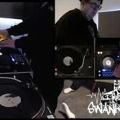 Swankie DJ Live Stream #11 (Techno) Guest - Toad Snorlax Ferris (Croaktek)