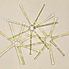 DJ Hotpot @ Misaengmulnoli 5.26.23