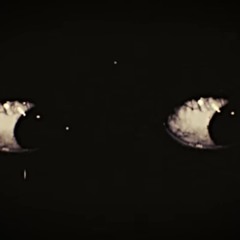 HER EYES - THE COST & Serj Tankian