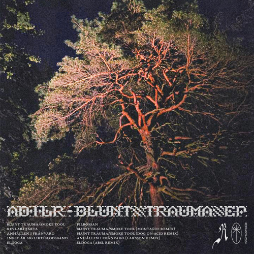ADILR - Blunt Trauma / Smoke Tool (Montague Remix) [Radiance Records]