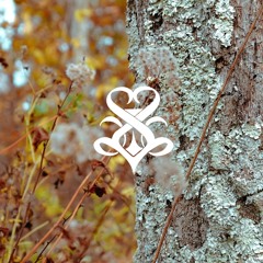 Sweet Spot - iPlayYouDreamAway (ODESZA x Attom)