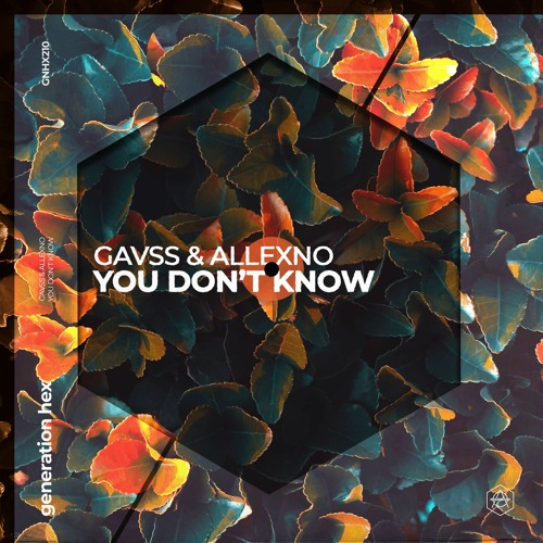Gavss & Allexno - You Don't Know
