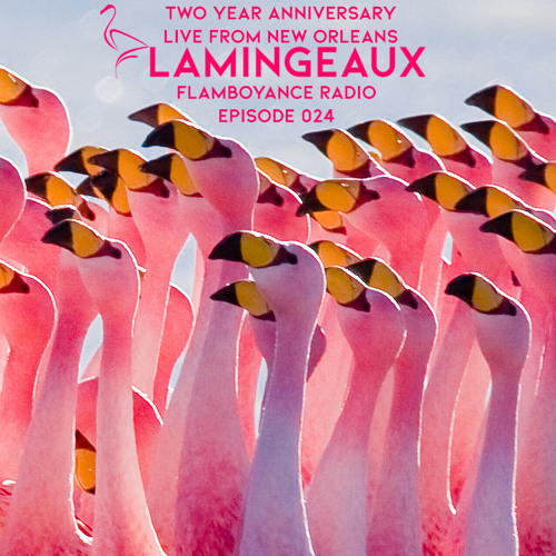 Flamboyance Radio Ep024