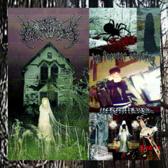 no more (logantoocold) #nottrynalive
