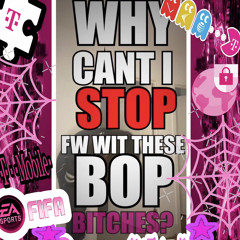 Why Can’t I Stop Fuckin Wit These Bop Bitches!??/ Suicide 2 (slurtome)