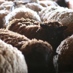 AQI (protourman remix)