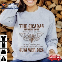 Cicada Brood Xiii Xix Summer 2024 Reunion Tour Swarm Cicadas Shirt