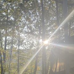 Guitar Dub (Free DL)