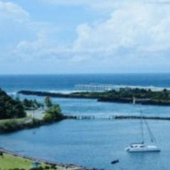 Building and Pest Inspection in Tweed Heads