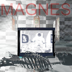 Magnes