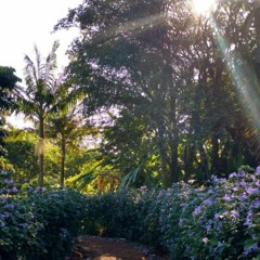 17.07.2022 - DOMINGO - CAP. V - BEM AVENTURADOS OS AFLITOS - Causas Atuais das Aflições