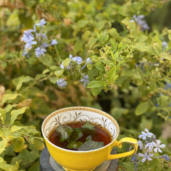 " أنا حياتي كلها للحبايب ، ماني بمستغفر ولاني بتايب."