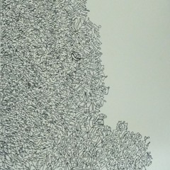 Champignons  - ForceLead