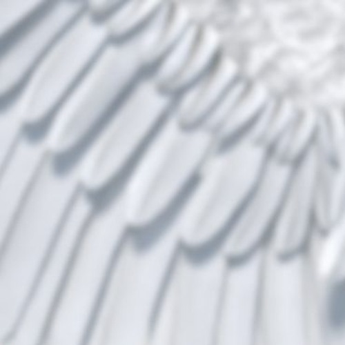 Even Angels Fall