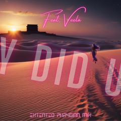 Y did U (ft. Veela) (extented Phrygian mix)