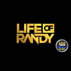 A Chutney Lovers Tale - DJ Randy