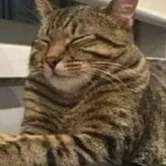 Boulevard Depo - AYOЙ (i44th edit remix)