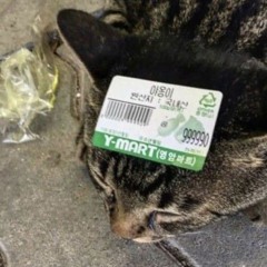 trash - justhis ft. kid milli