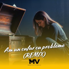 Am un cufar cu probleme (Remix)