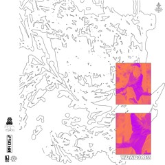 RA MIX 052: WAEWAEXPRESS - ZOOMIES J4M