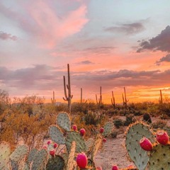 Beautiful Ethnotronica Set (desert vibes)
