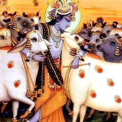 Shri Krishna Govind