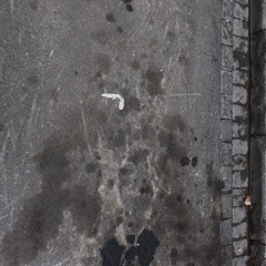 Héréditaire (Feat. Pol Feat Barbaran)