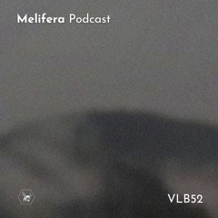 Melifera Podcast ⬡ VLB52 Live