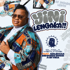 Yini Lengaka (feat. DJ Tira, Goldmax & Siboniso Shozi)