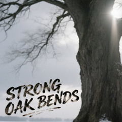 Strong oak bends (1)