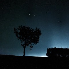 ʟxsᴛ - ᴄxɴᴛᴜʀʏ - ᴄʀᴏᴡᴅ ᴘᴀʀᴛ ɪɪ sʟᴏᴡᴇᴅ