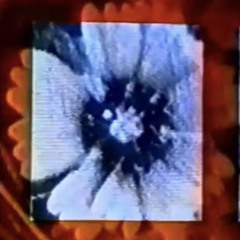 J Mascis - A Little Ethnic Song