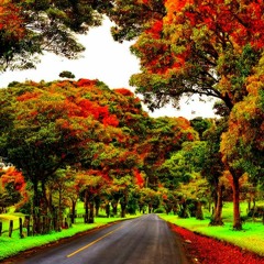 Lose Home