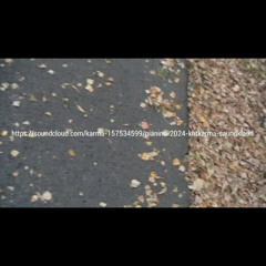 цццц - 22-я осень