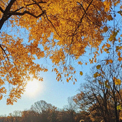 Soft November Jazz (Warm Autumn Jazz)