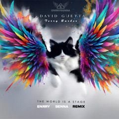 David Guetta Vs. Terry Barber - The World Is a Stage (Enrry Senna Remix)