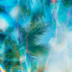 THE TREES ARE TALKING