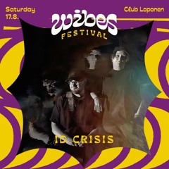 IDC at Wibes Festival 1782024