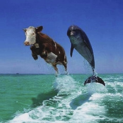 おかしいなprod.hygar