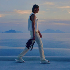 runway - southsidesilhouette + diorvsyou (leek)