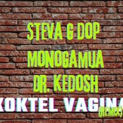 Fanste G Dop, Monogamija i Dr.Kedosh - Koktel Vagina (RemiX) (2023)